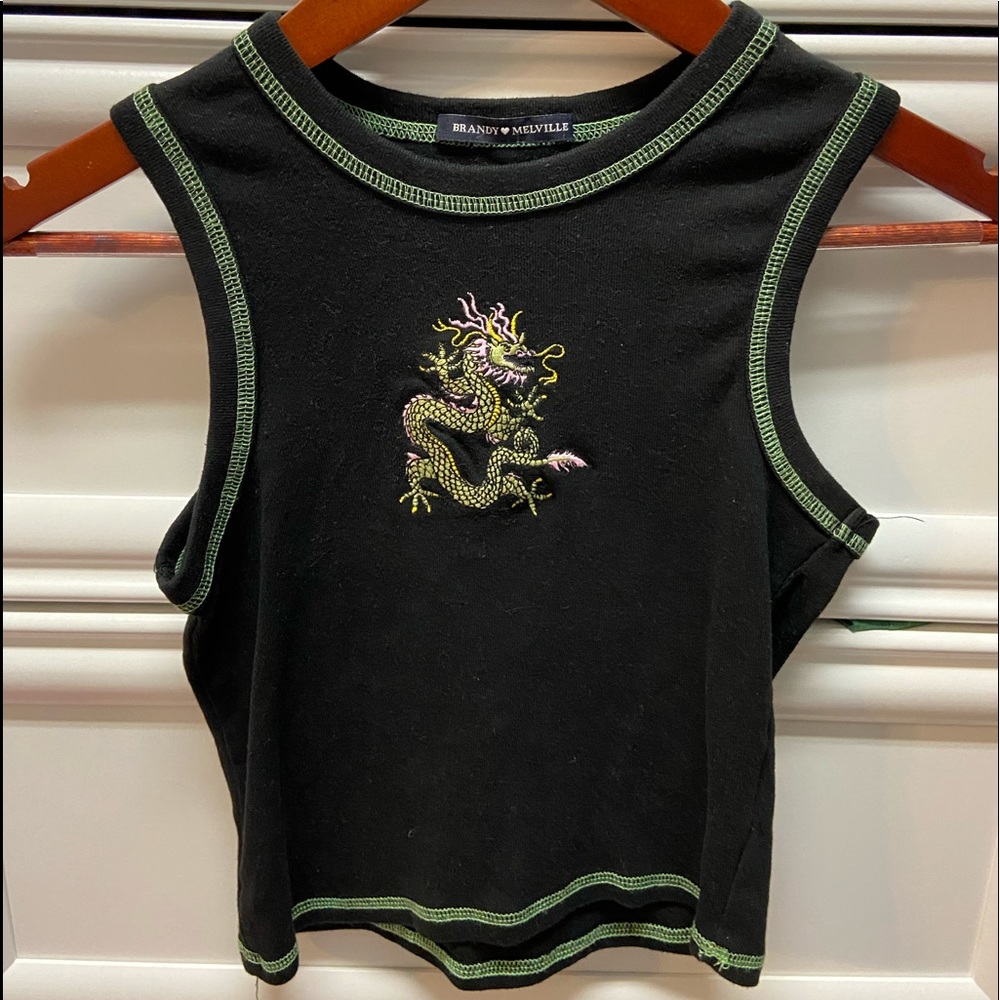 Brandy Melville rare cropped dragon shirt